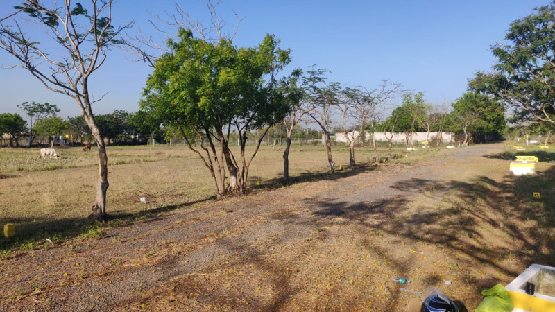 Plot for sale