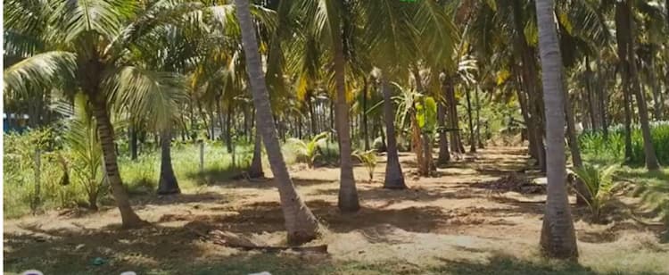 Land for sales