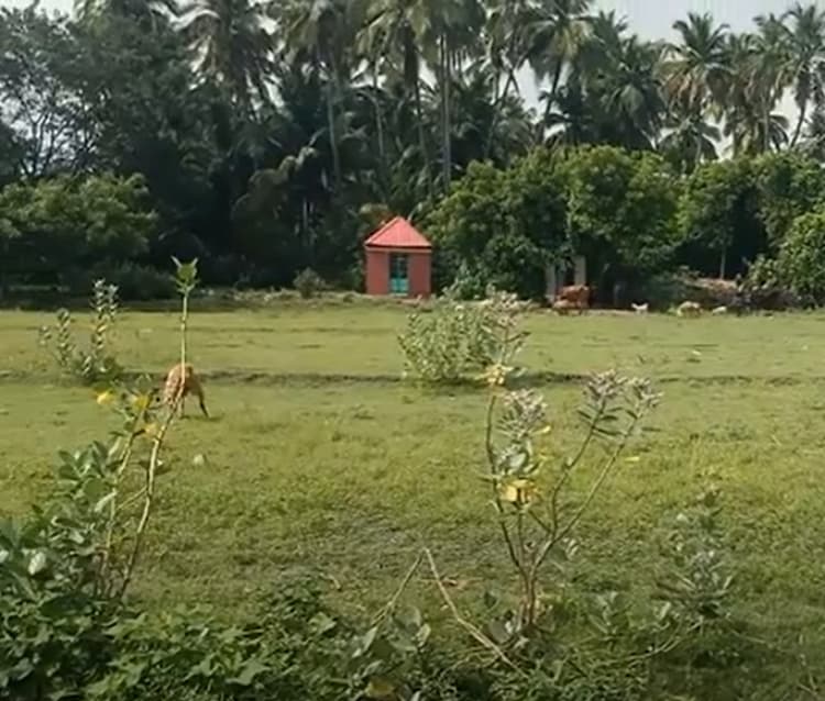 Land for sales