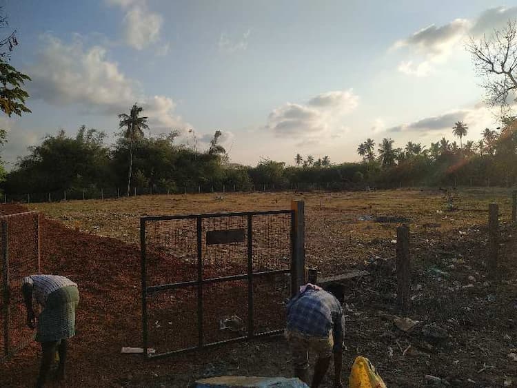 Commercial land
