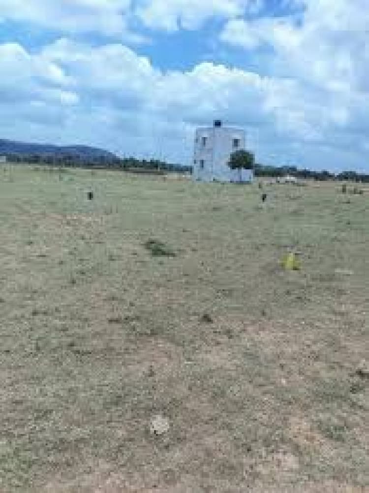 Plot sale