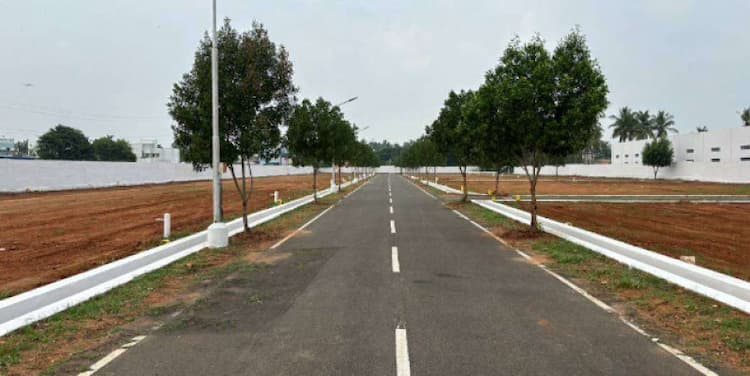 Land for Sale