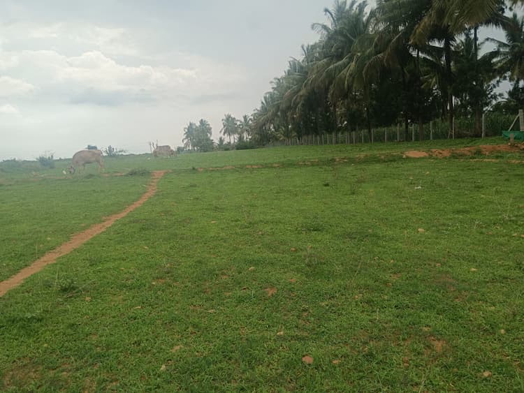 Land for sales