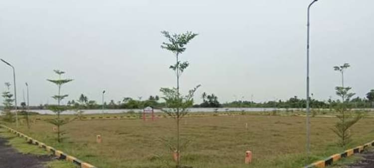 Land for sales