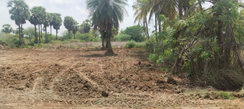 Land sale