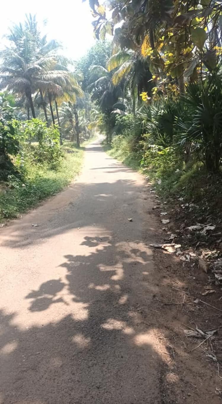 1 acre cocnut form for sale