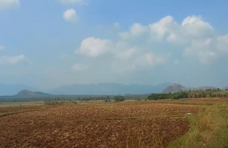Land for sales