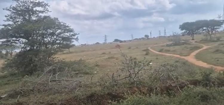 Land for Sale