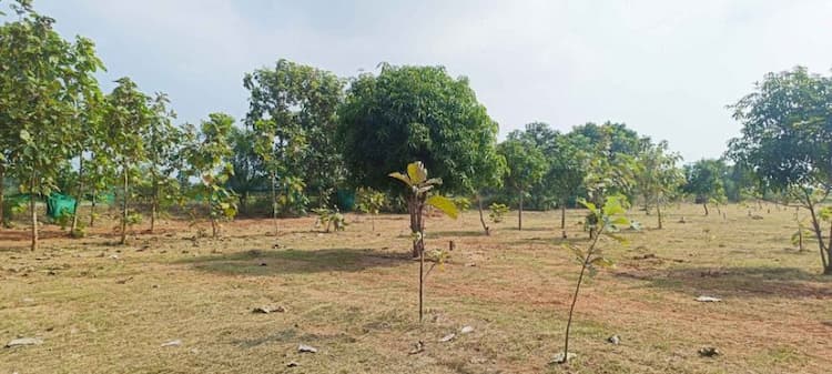 Farm Plots for Sale in Selva Vinayagar Nagar