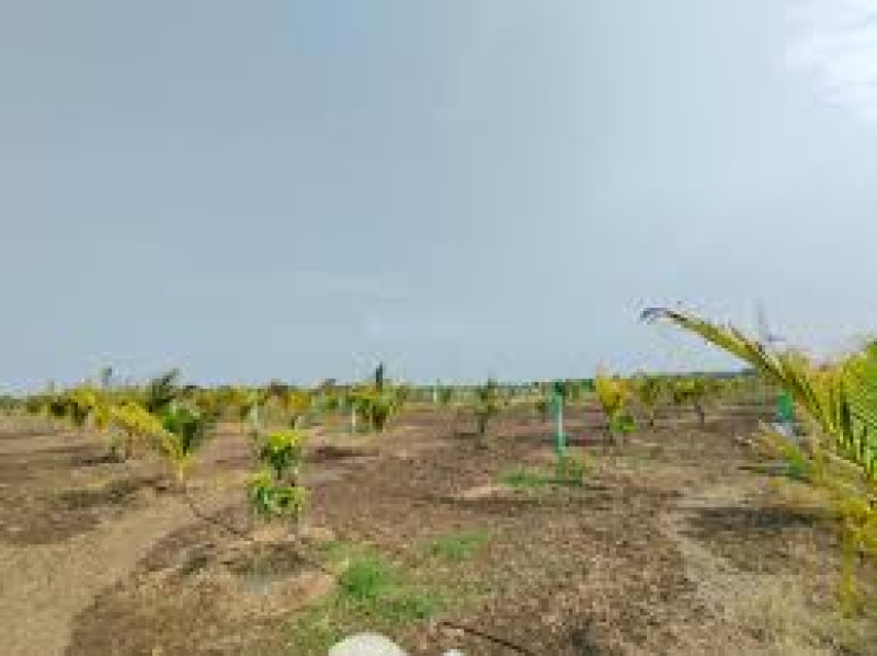 land sale
