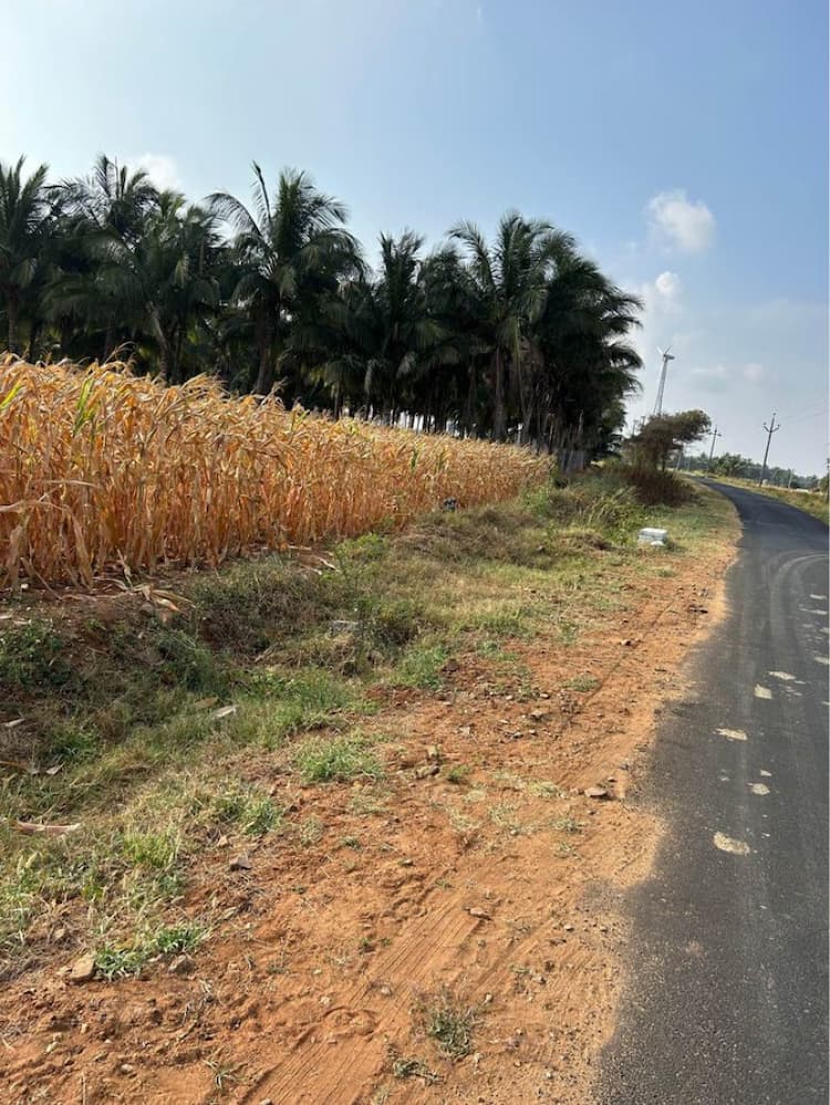1 Acre Land for Sale