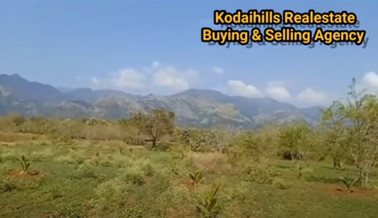 50 Acre for sales