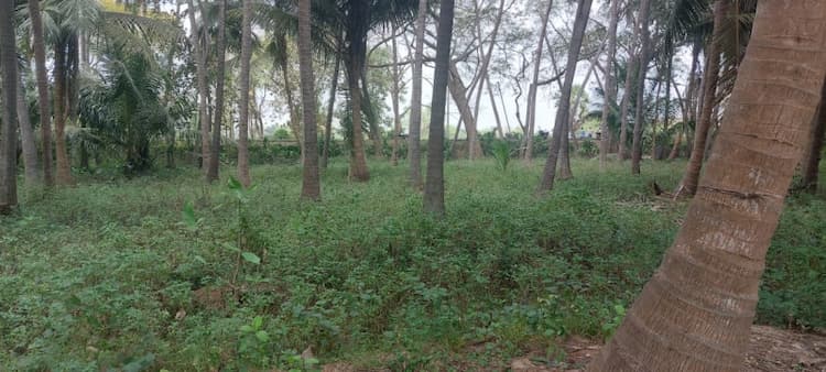 FARM LAND FOR SALE - MELATTUR