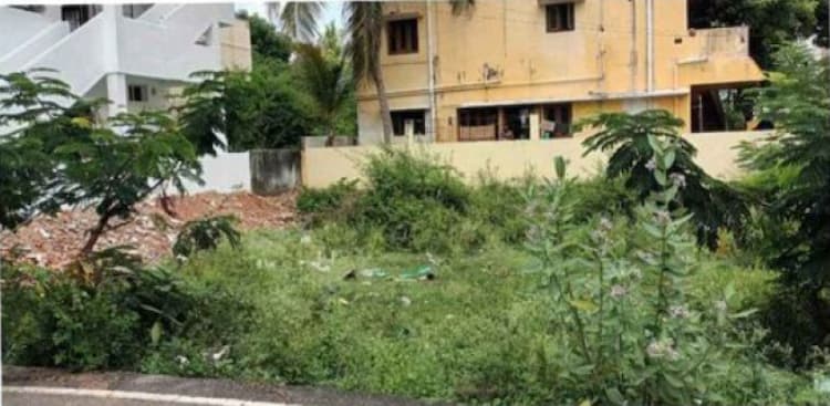 Land for sales