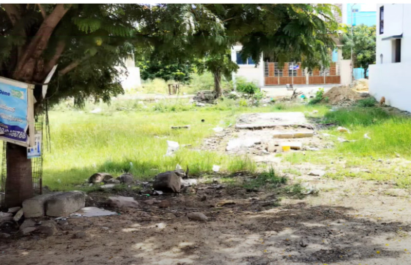 Land for sales