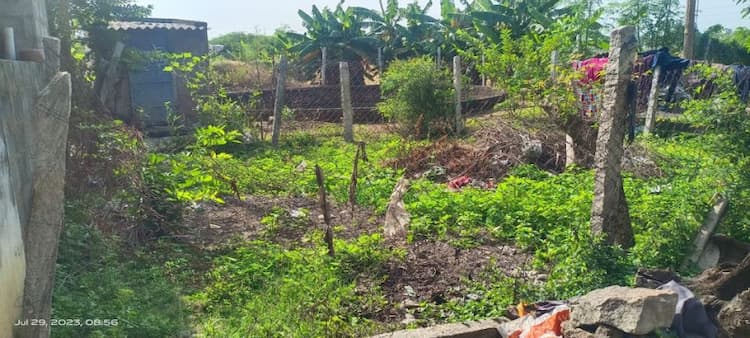 patta land sale in selaiyur