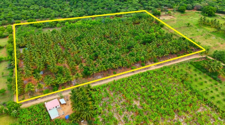 Land for Sale