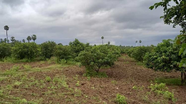 Agricultural Land