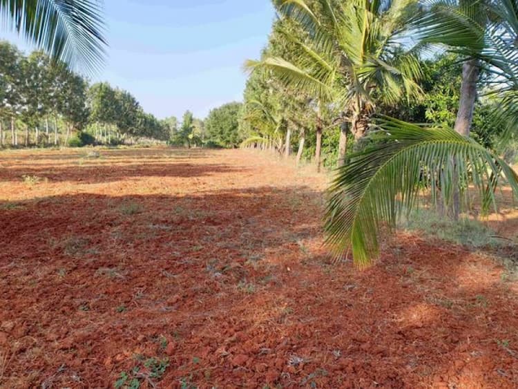 Farm Land sale