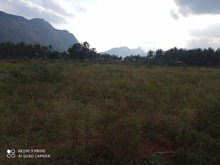 farm land for sale