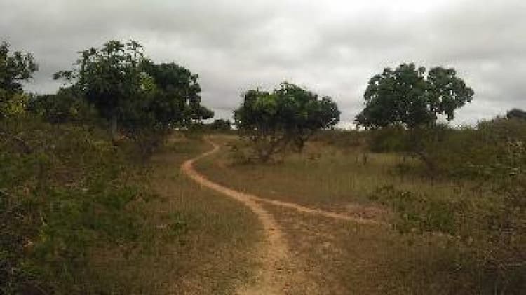 Plot sale
