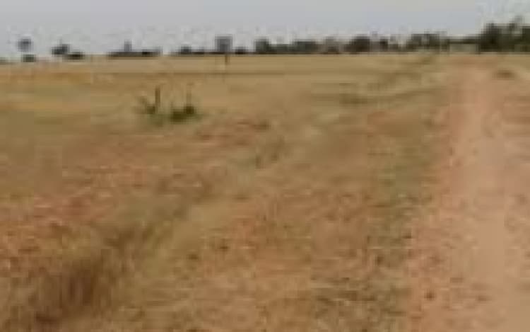 Land For sales