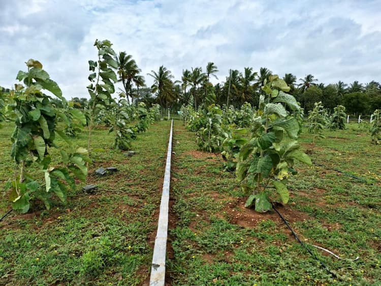 Single Property Image