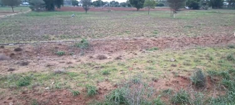 Land for Sale