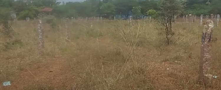 Land for sales