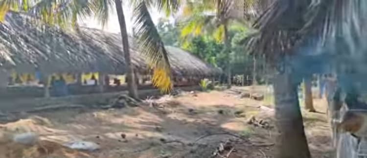 2 Acre Land for Sale