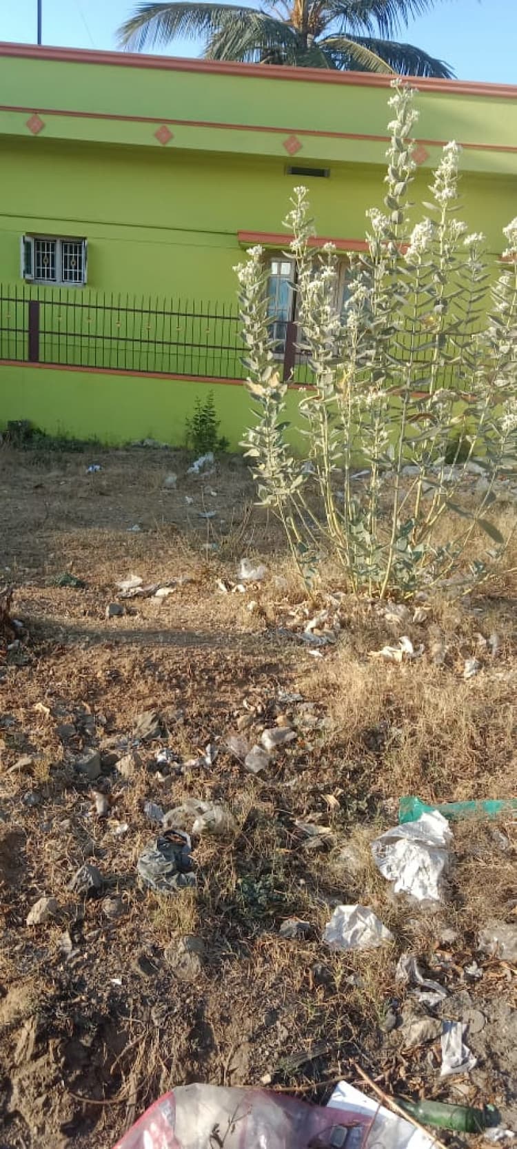 Land for sales
