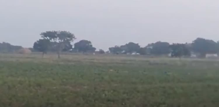 10 Acers Agriculture Land for sale
