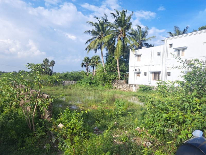 Residential Plot