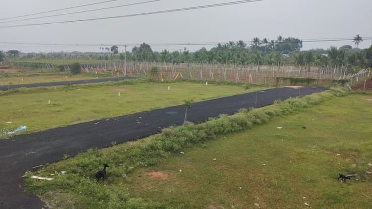 Single Property Image