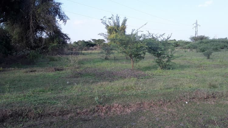 Plot sale