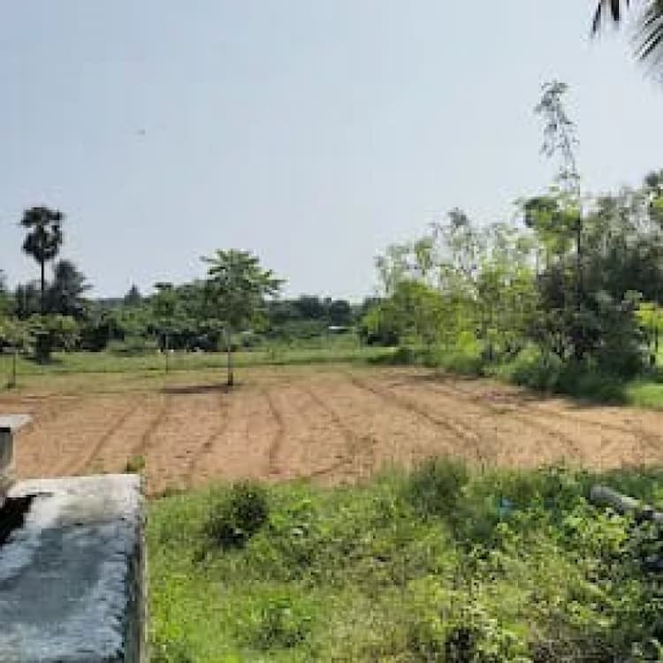 farm land for sale