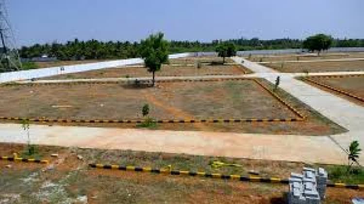 Residential Plot
