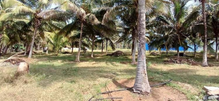 Single Property Image