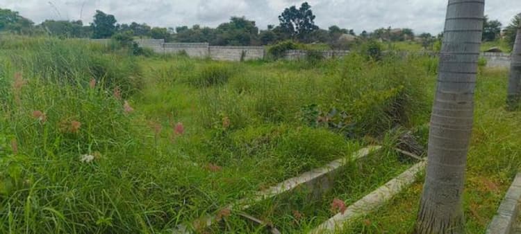 land sale