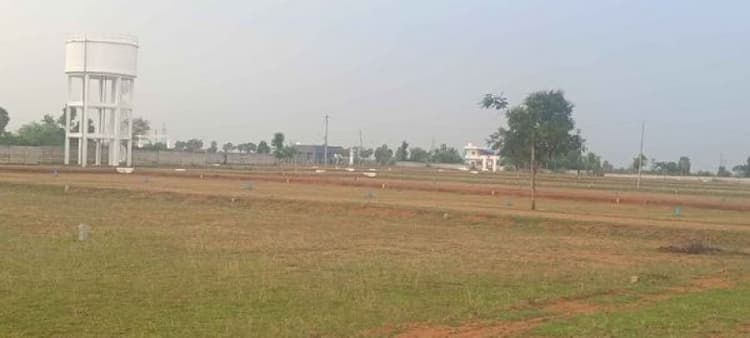 Land For sales
