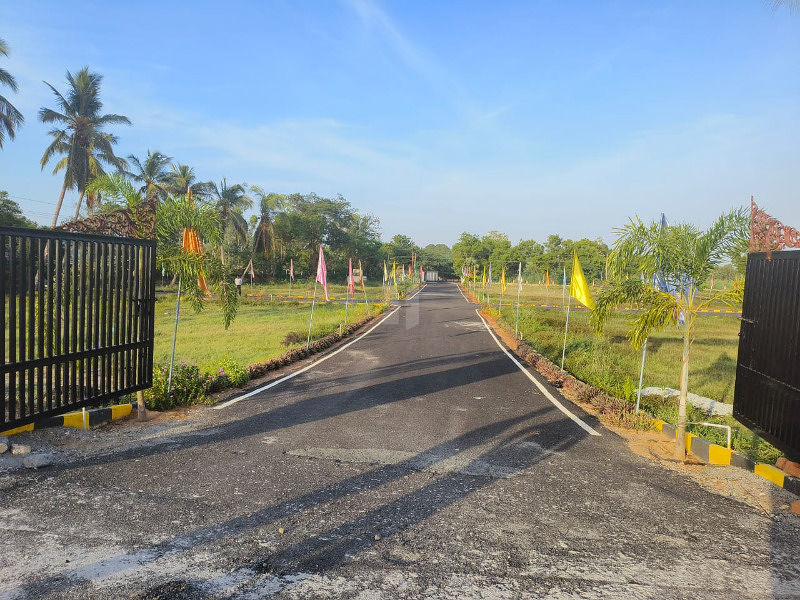 Plot sale