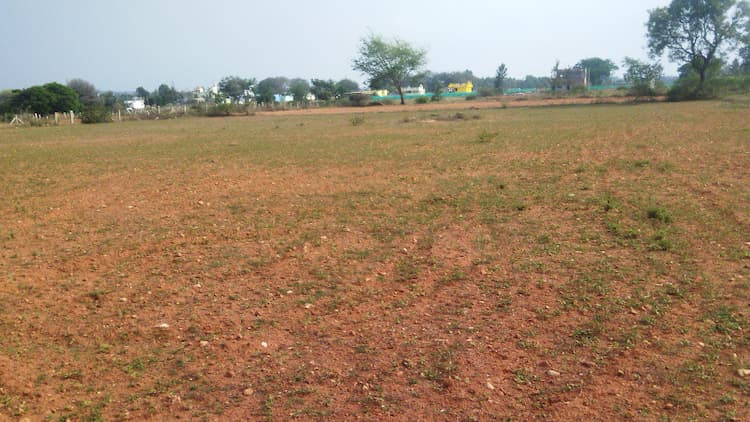 Agricultural Land 