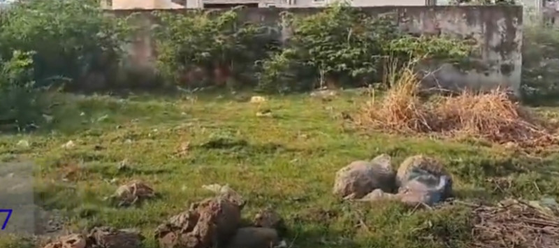 Land for sale