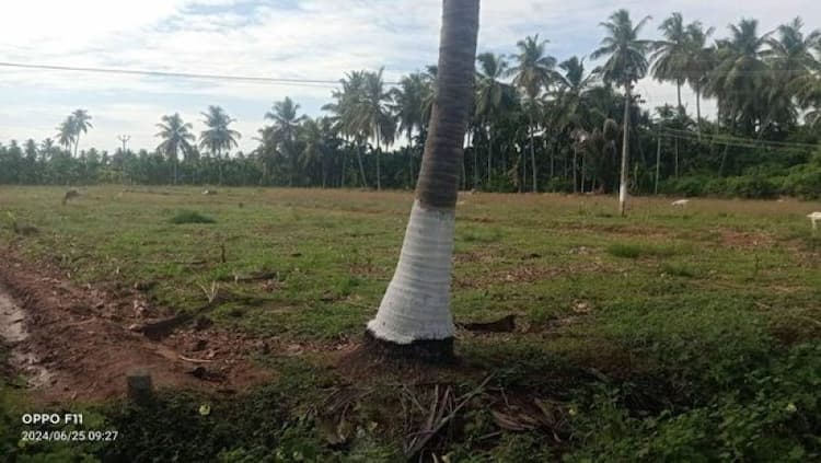 Land for sales