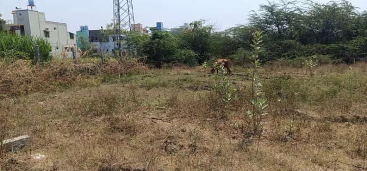 Single Property Image