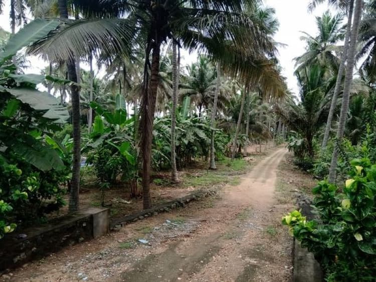 Single Property Image