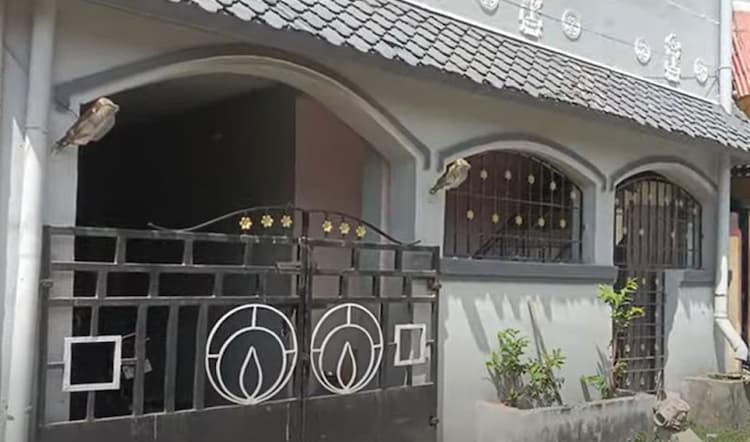 House for sales