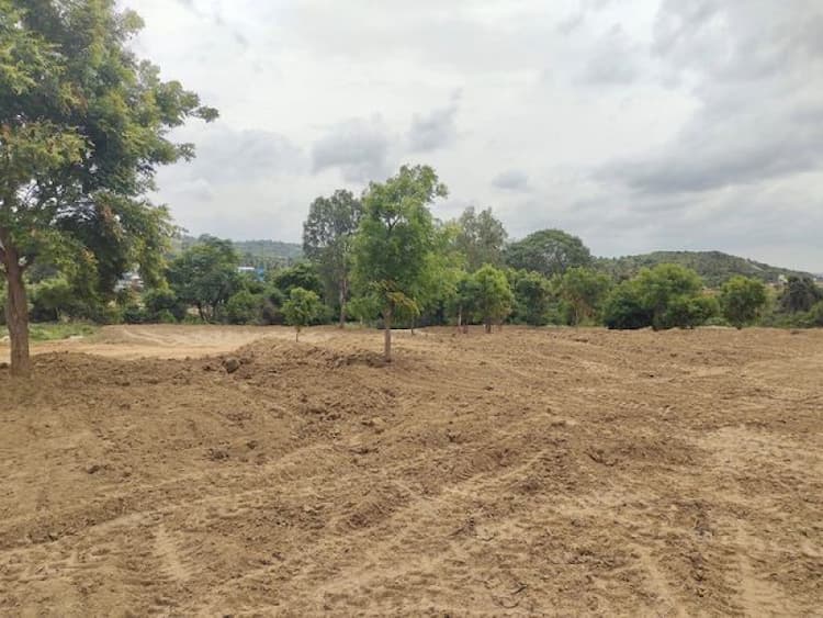 Land sale
