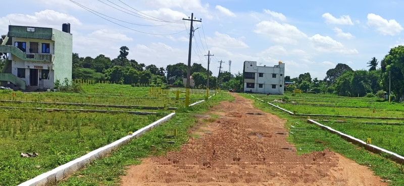 Residential Plot