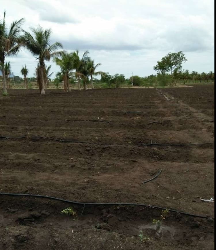 Agriculture Land for sale